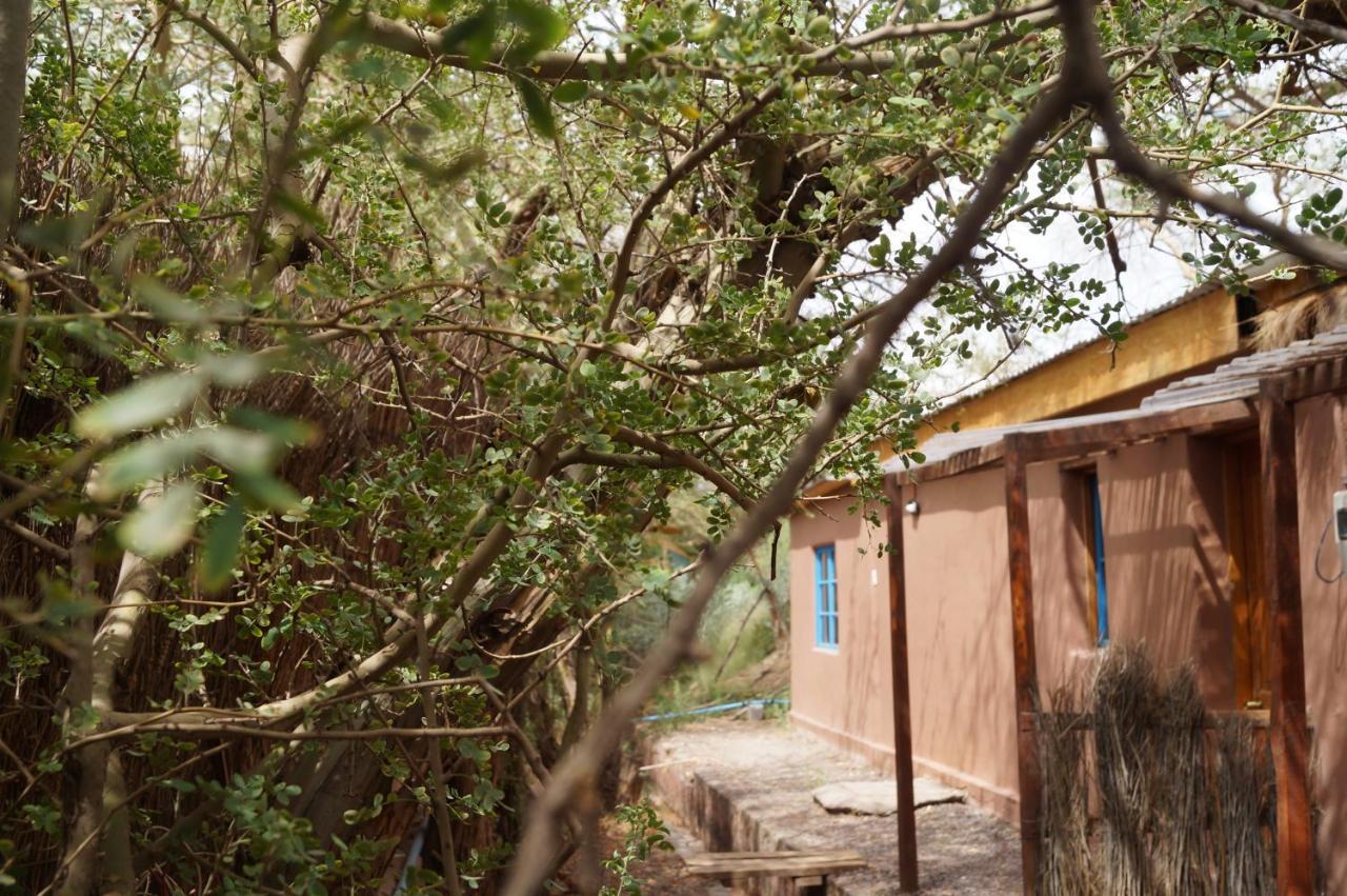 סן פדרו דה אטקאמה Atacama Lodge Rukazen Rustico מראה חיצוני תמונה